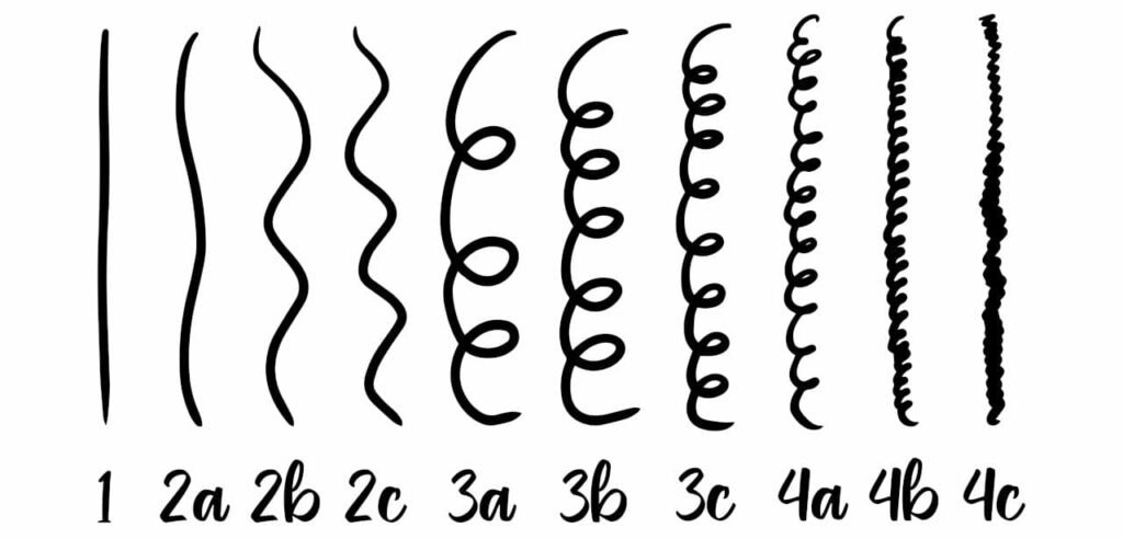 immagine che rappresenta i diversi tipi i capelli